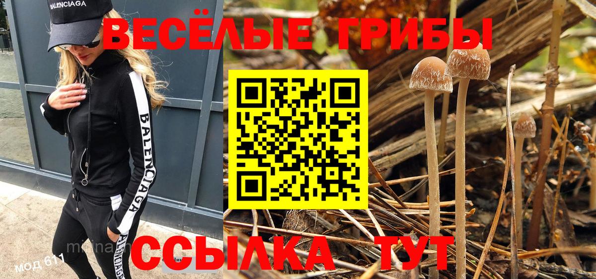 Медногорск  Галлюциногенные грибы Cubensis  купить  сайты  Вход с VPN 
